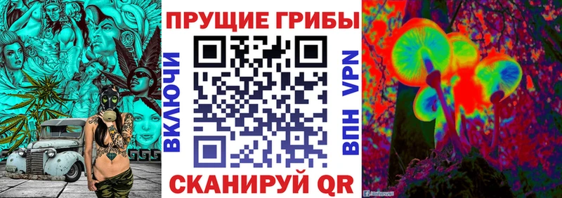 Галлюциногенные грибы Magic Shrooms  Купить  Кинешма 